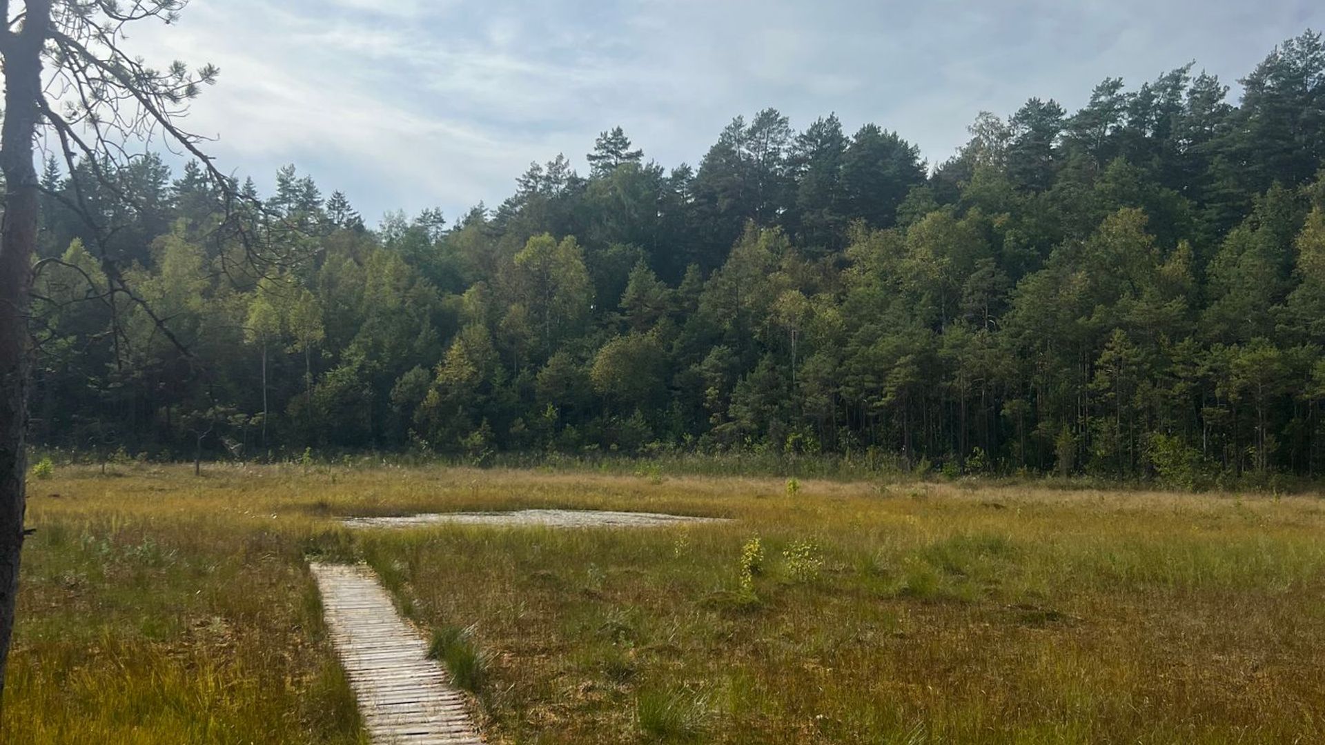Degučiai Trail
