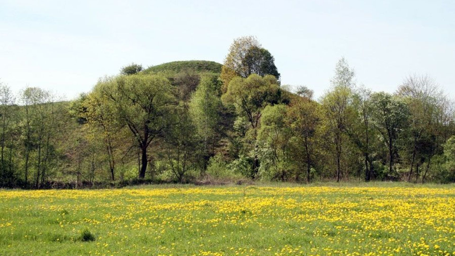 Paparčiai Mound