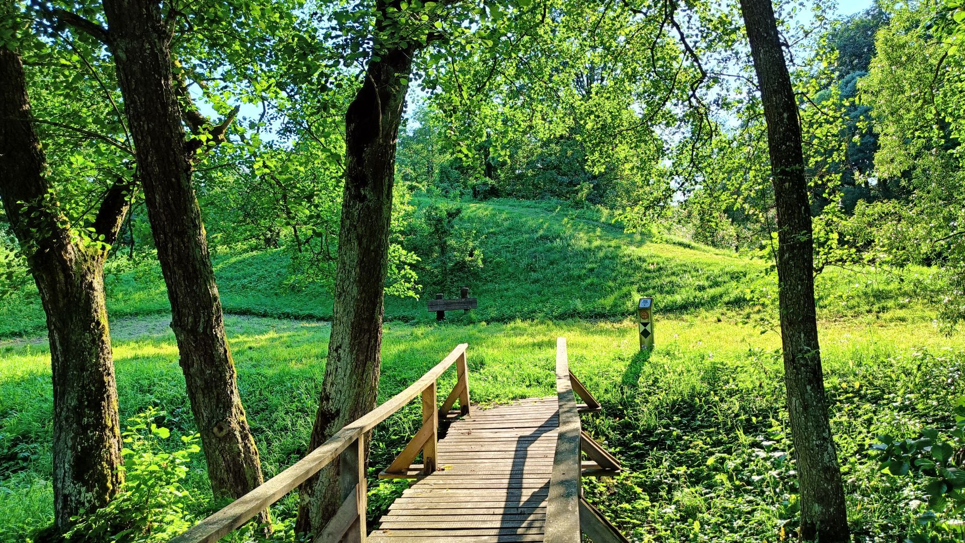 Pajevonys Mound