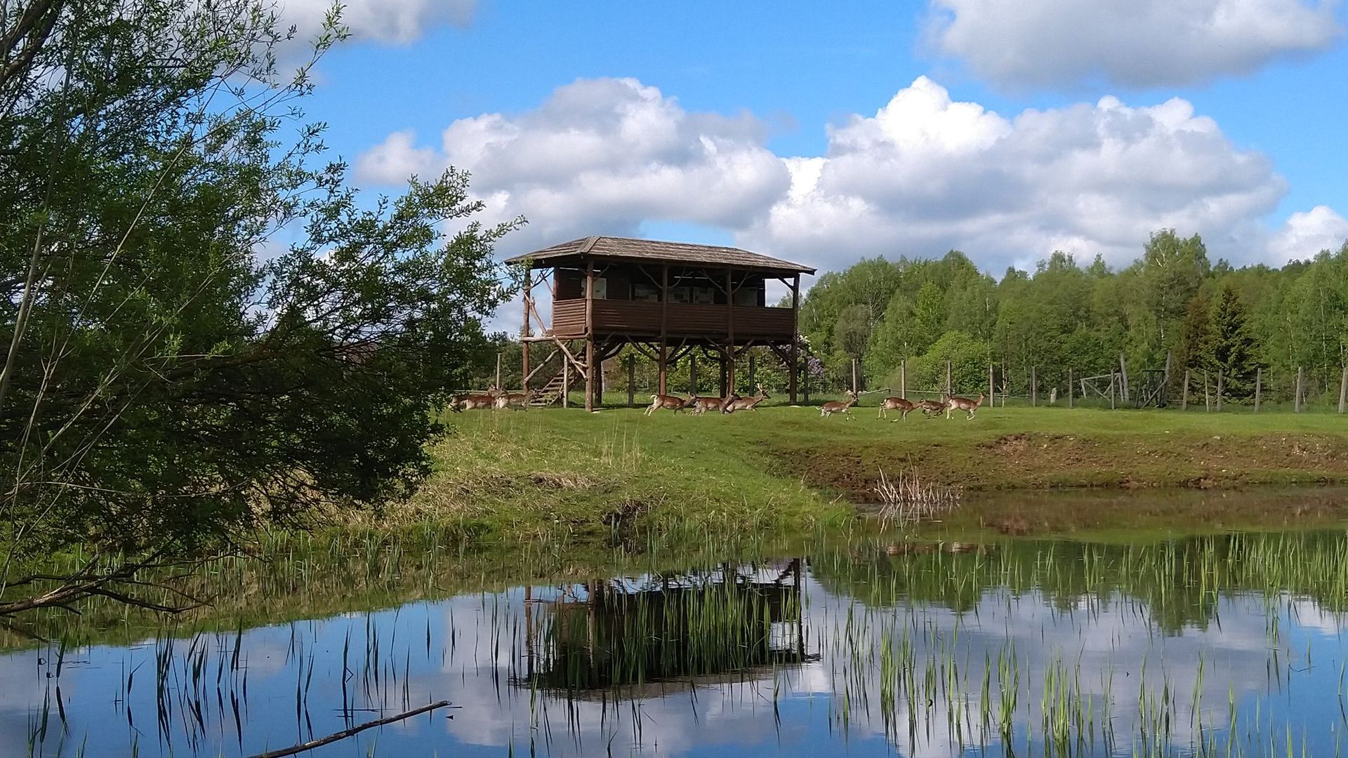 Deers Enclosure in Mikieriai