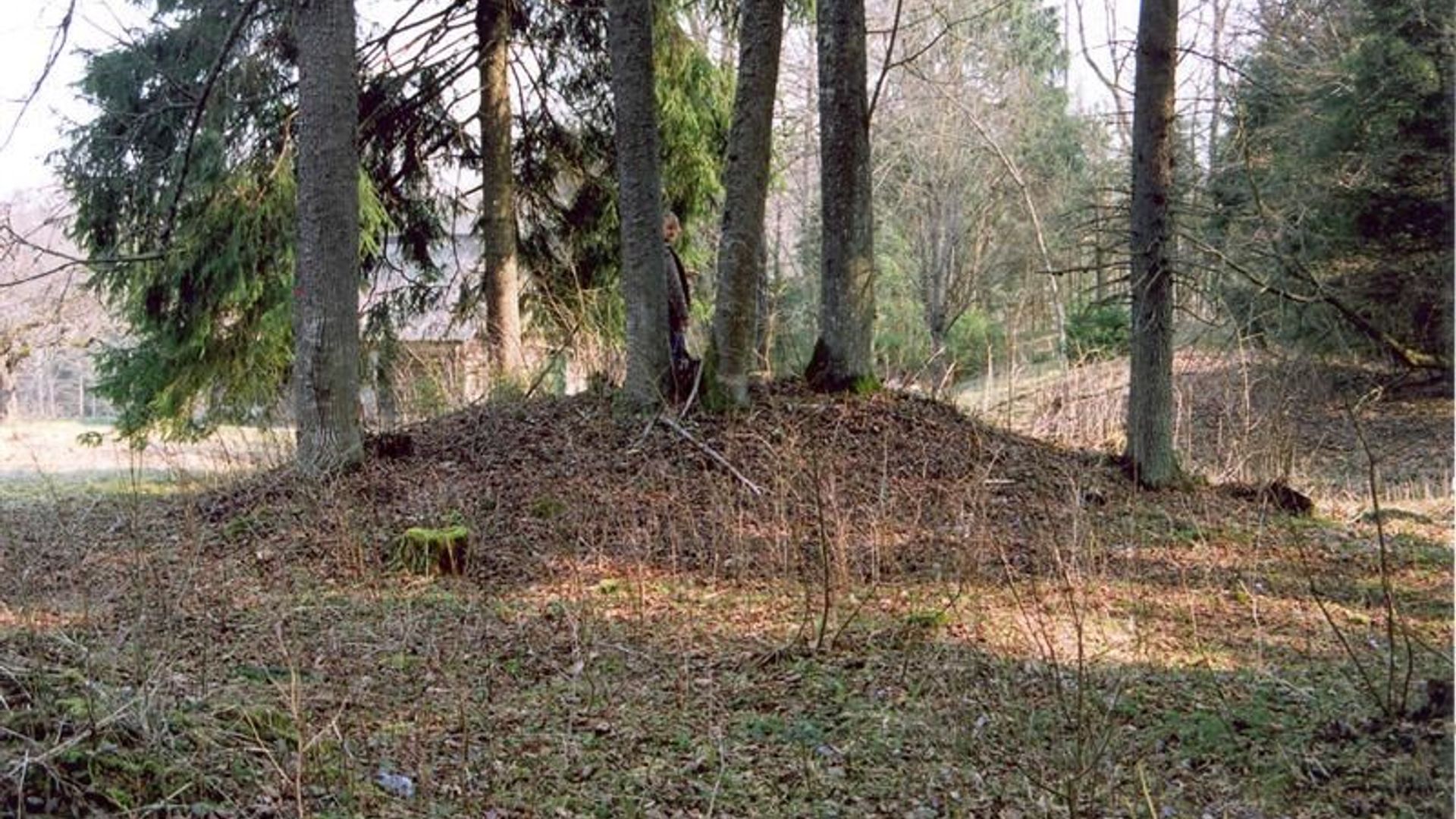 Moša Burial Ground