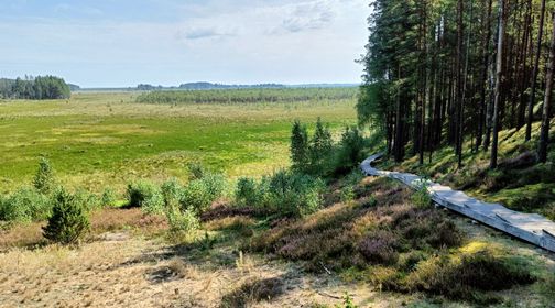 Čepkeliai swamp cognitive trail