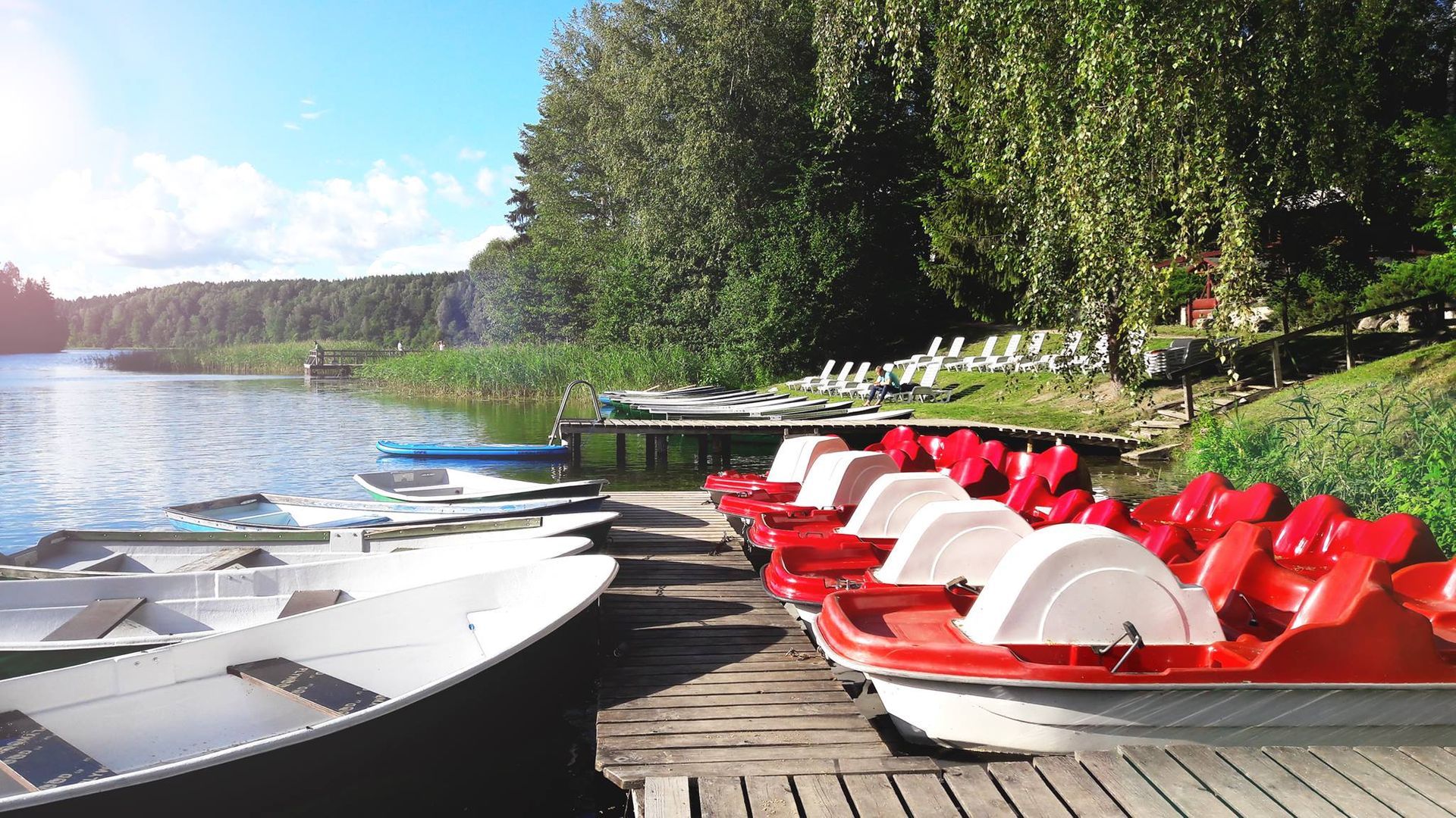 Paddle Boats and Sup Rental