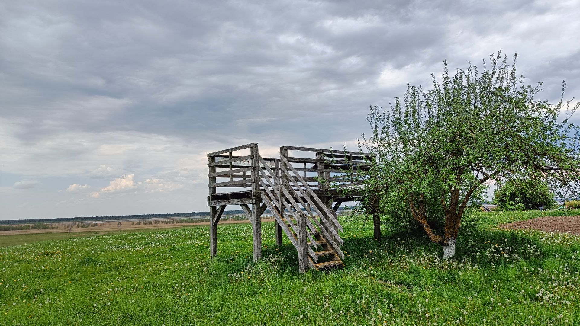 Žuvinto pakrantės paukščių stebėjimo platforma