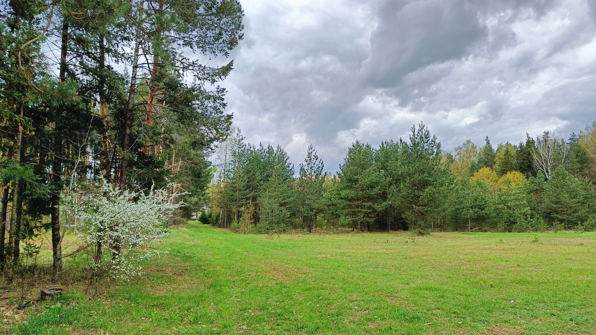 Antaniškių miško parkas