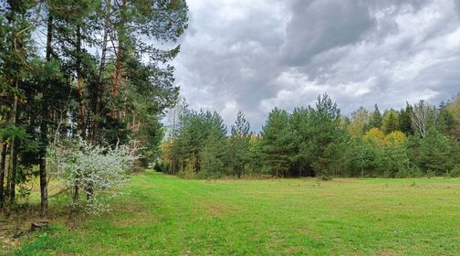 Antaniškių miško parkas