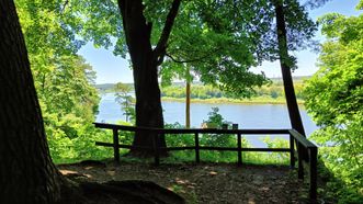 Apžvalgos aikštelė