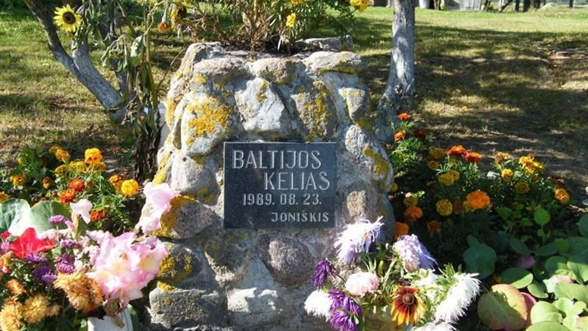 Baltic Way Sign Site of Joniškis People