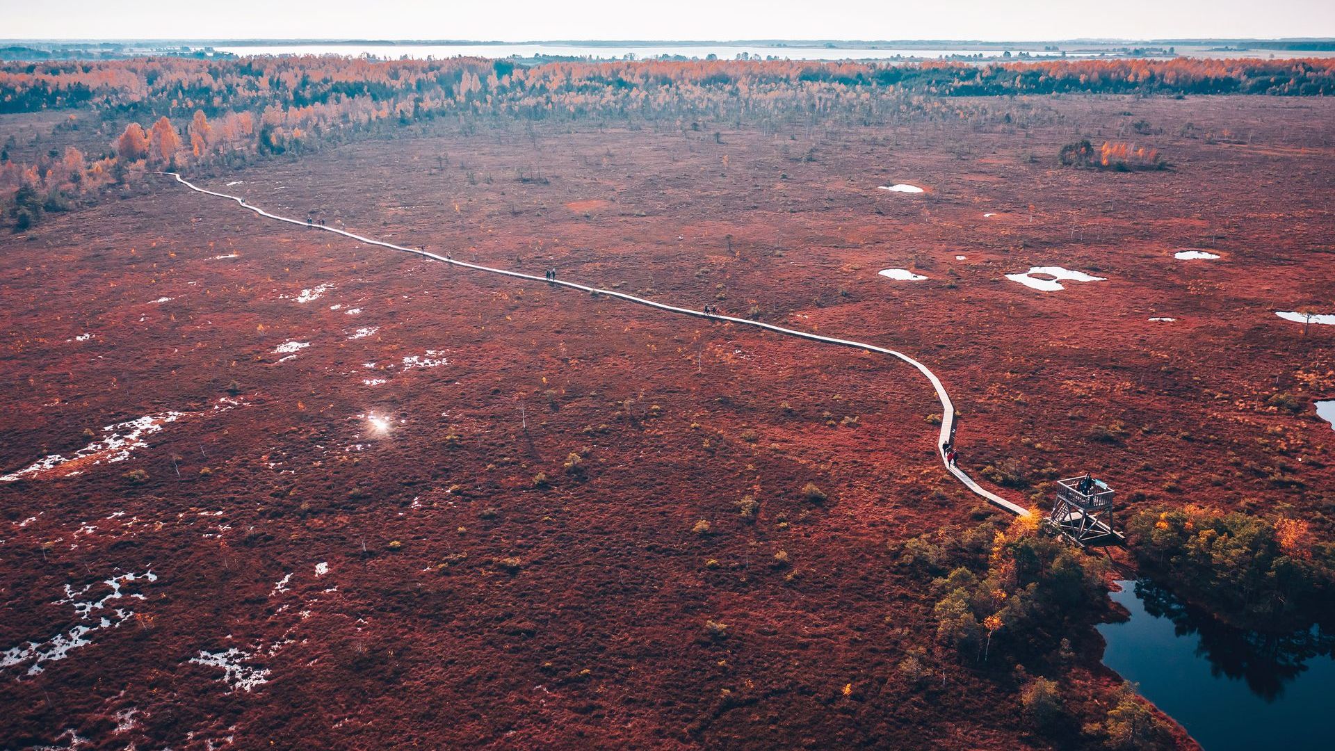 Aukštumala Cognitive Trail