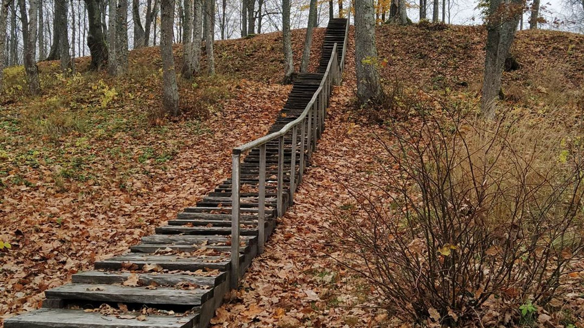 Cirkliškis Forest Trail