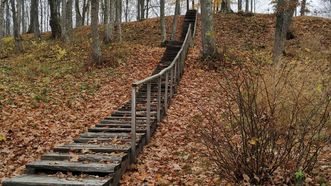 Cirkliškis Forest Trail