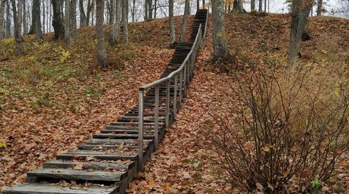 Cirkliškis Forest Trail