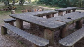 Rest Place Horse Cape