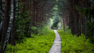 Varnikai Cognitive Trail