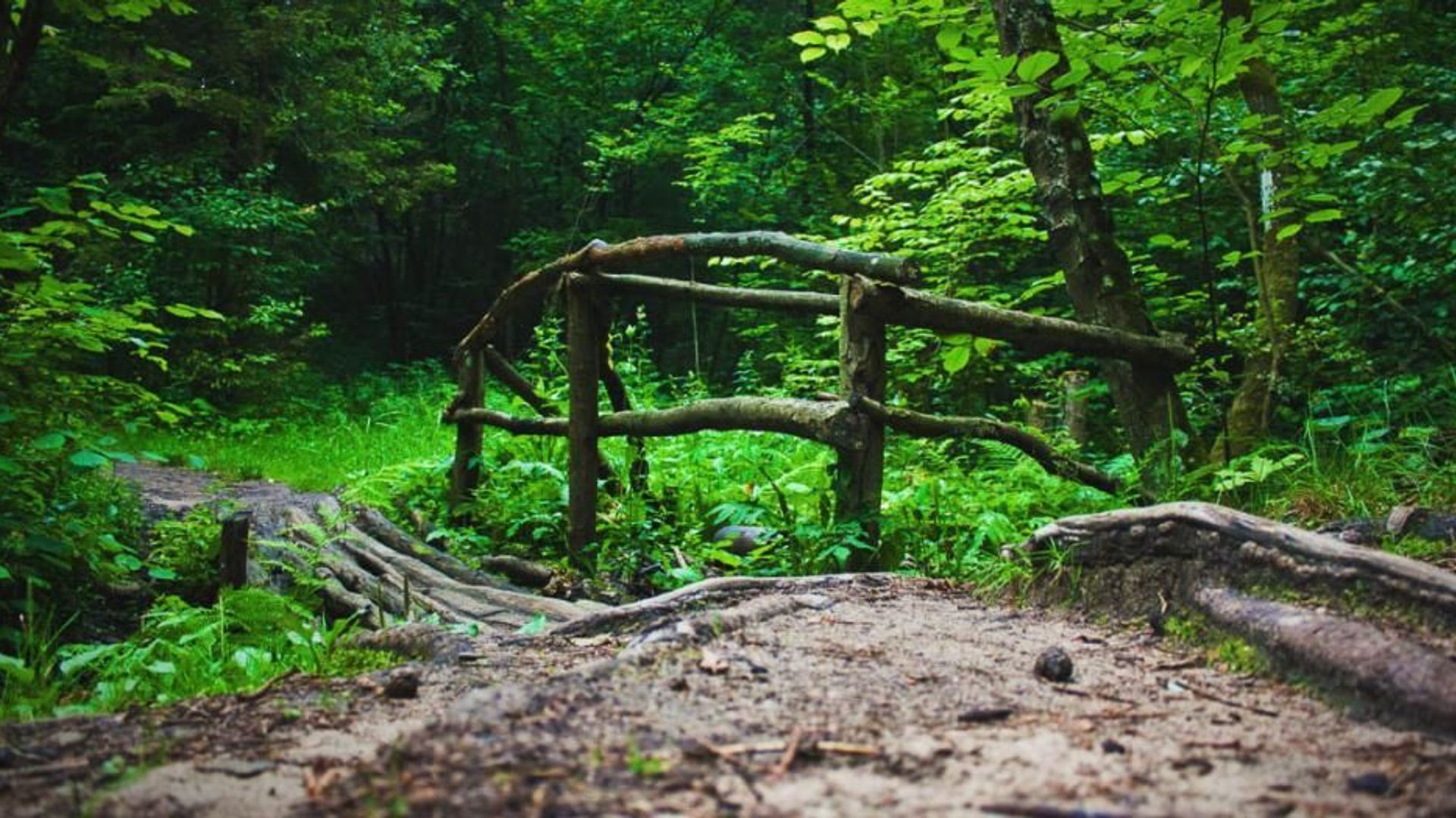 Kleboniškis Forest Park