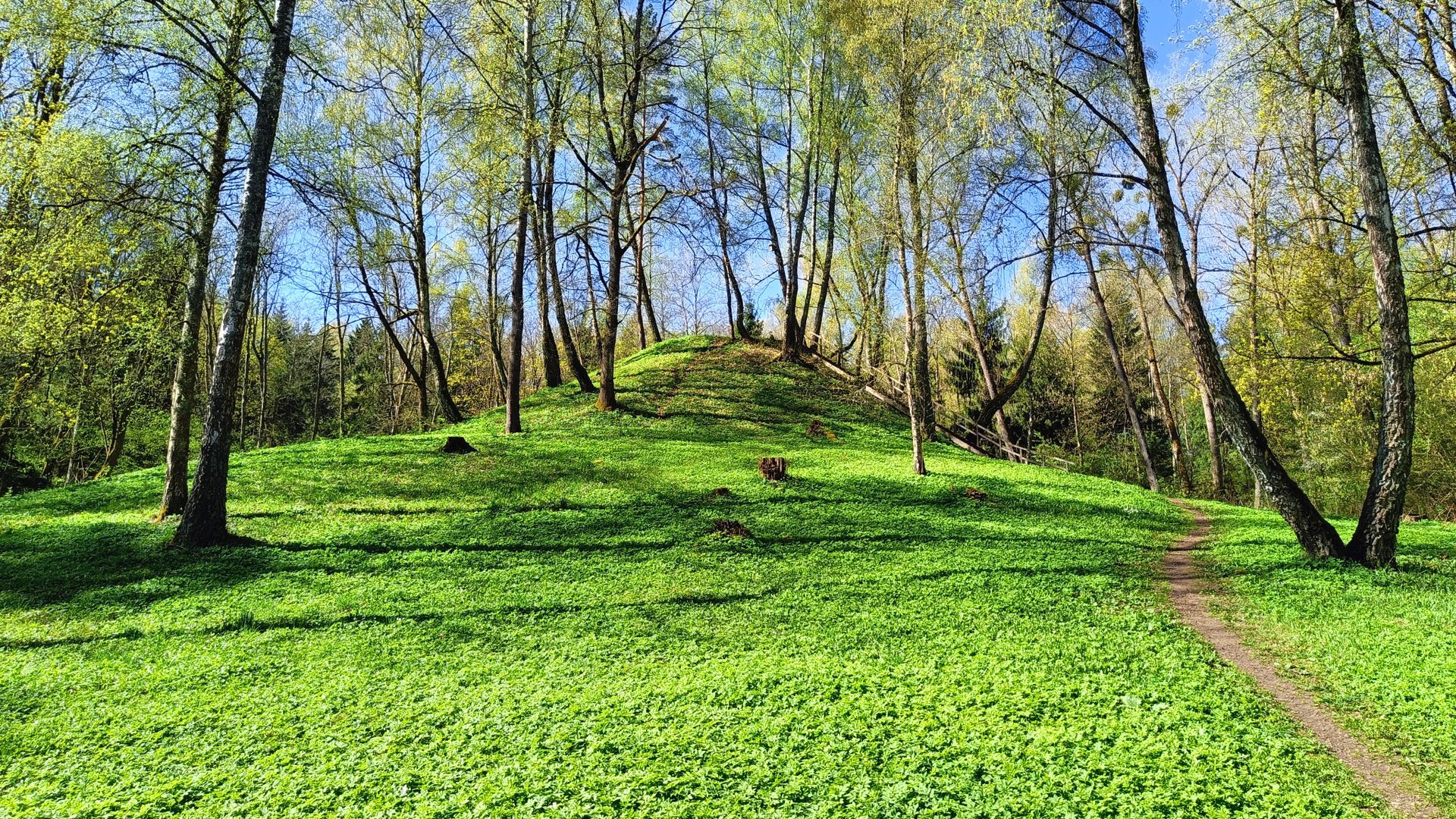 Samylų piliakalnis