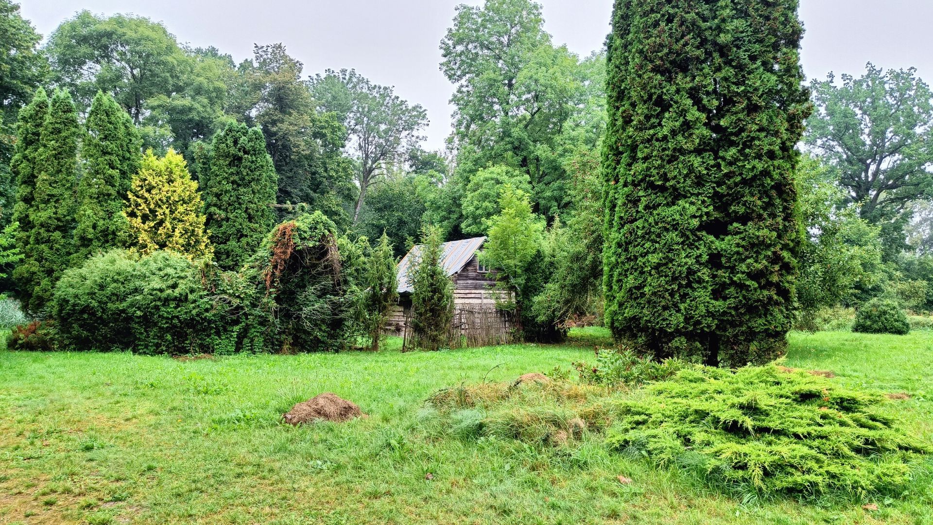 Buvusi Triliškių dvaro sodyba