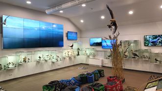 Ventė Birds Migration Exposition