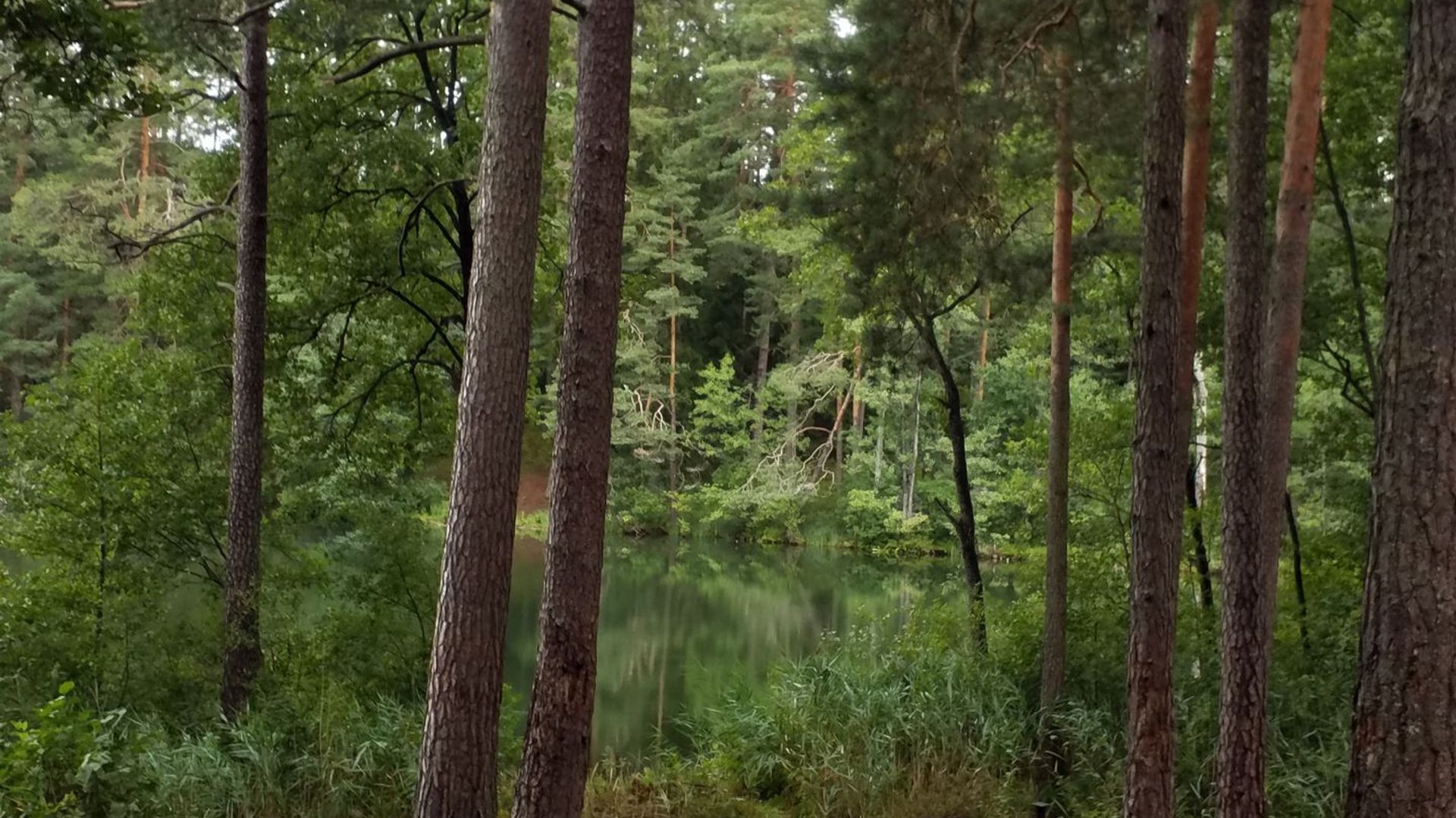 Leikštinio I stovyklavietė