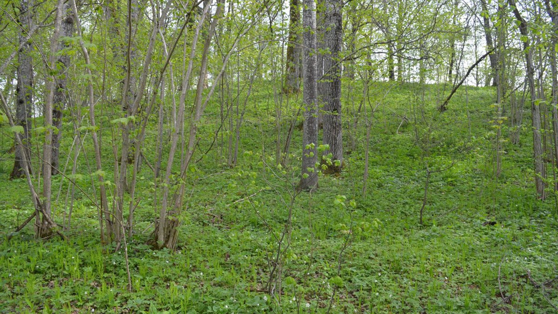 Karklėnaliai Mound