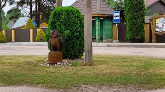 Bagotoji Owls