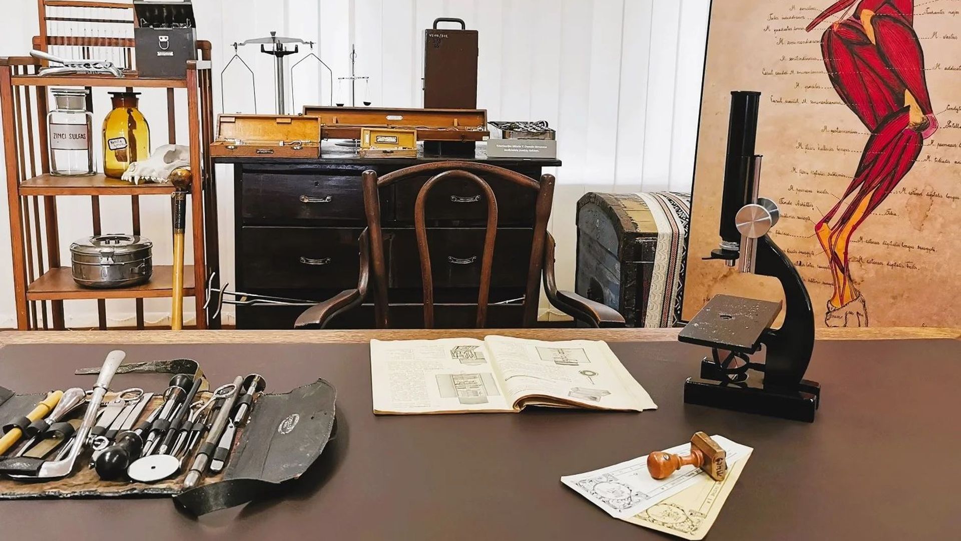 Museum of the Veterinary Academy