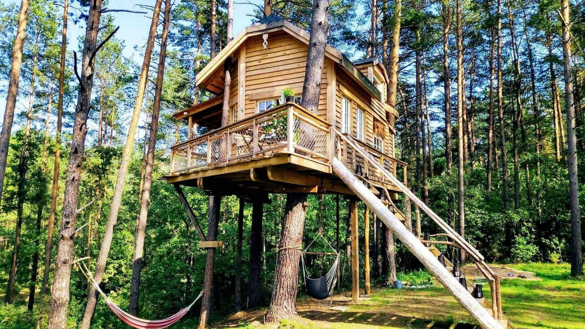 Tree House Molėtai