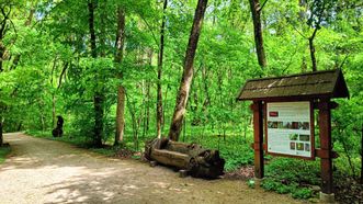 Kamša Reserve Cognitive Trail