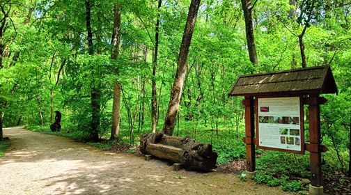 Kamša Reserve Cognitive Trail