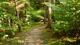 Daugėliškiai Forest Cognitive Trail