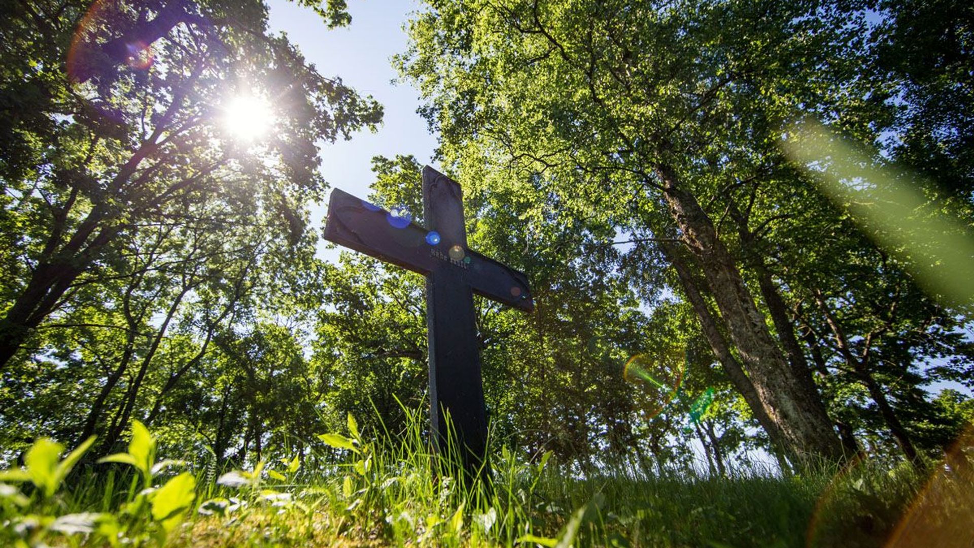 Muižės evangelikų liuteronų kapinaitės