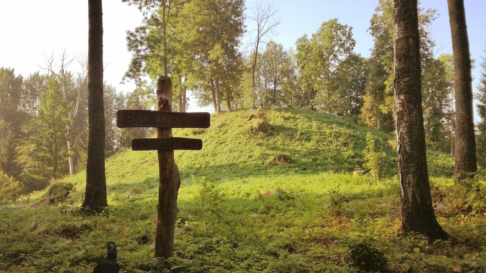 Voniškių (Burbonių) piliakalnis