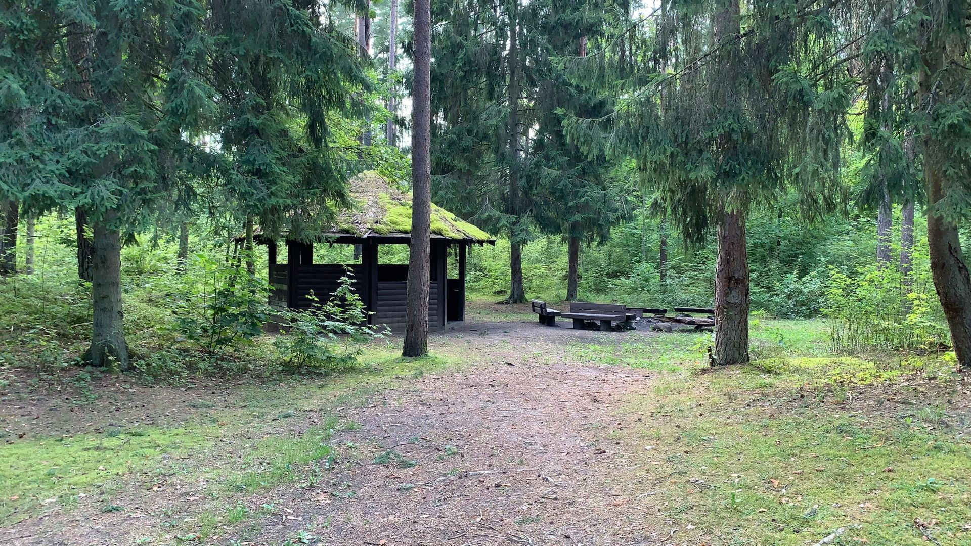 Šilelis Forest Park