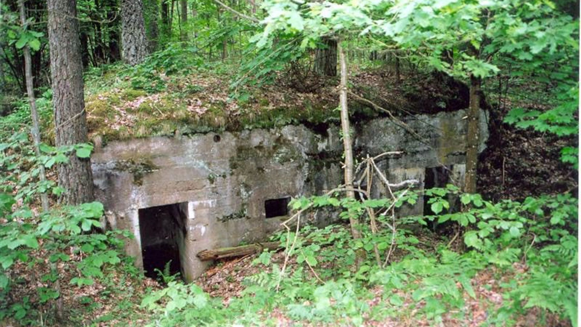 Tilžės gynybos linijos bunkeriai