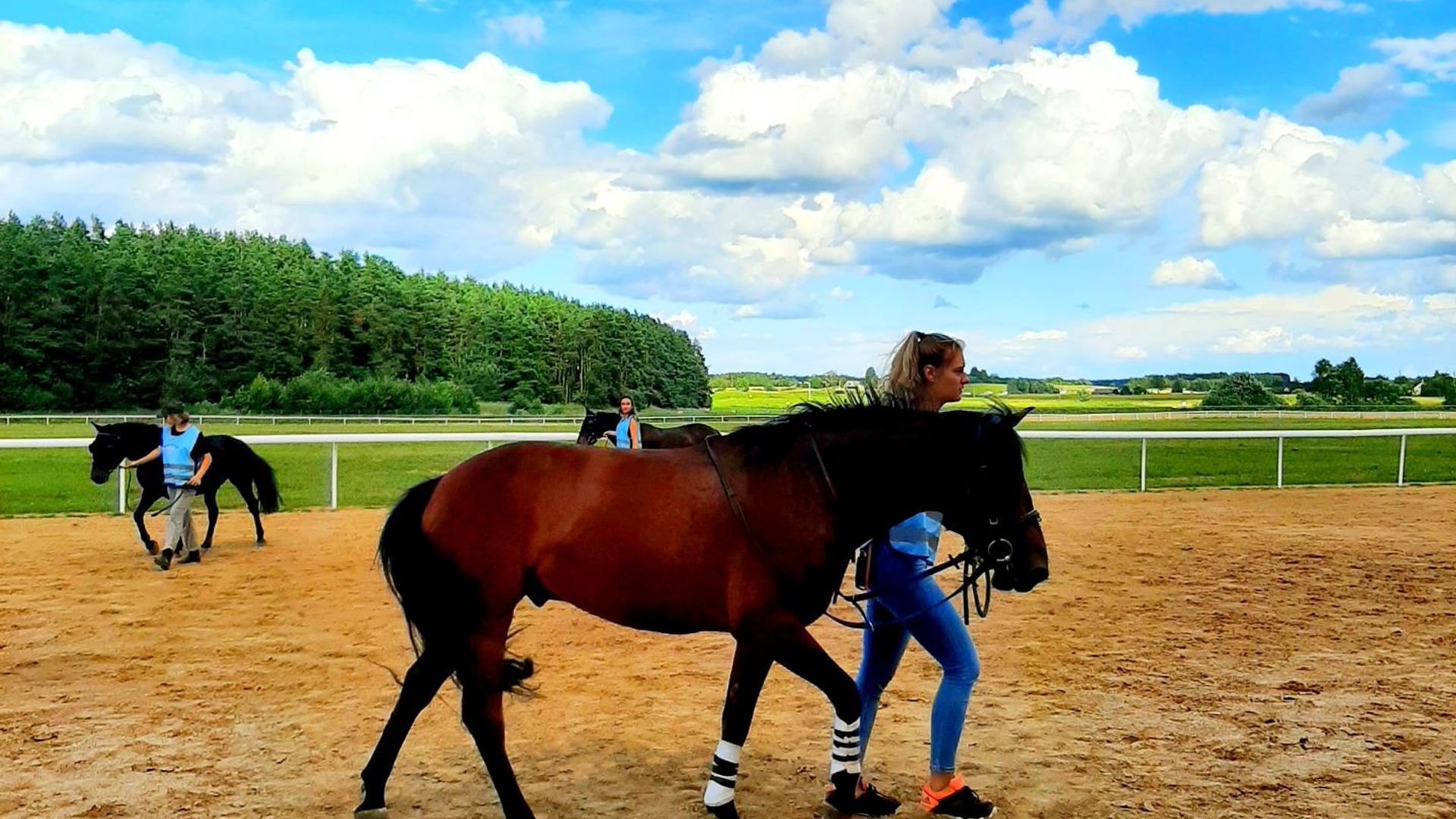 Dzūkija Hippodrome