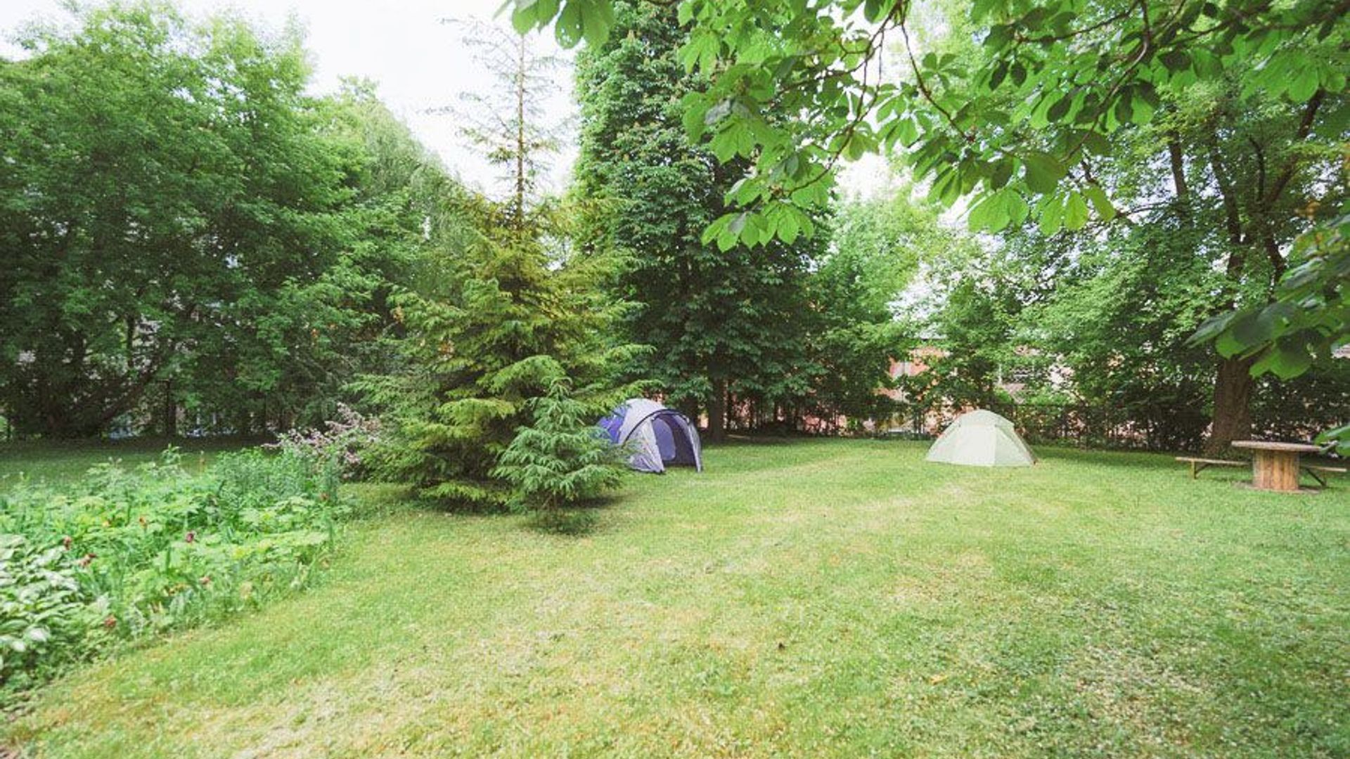 Downtown Forest Hostel & Camping