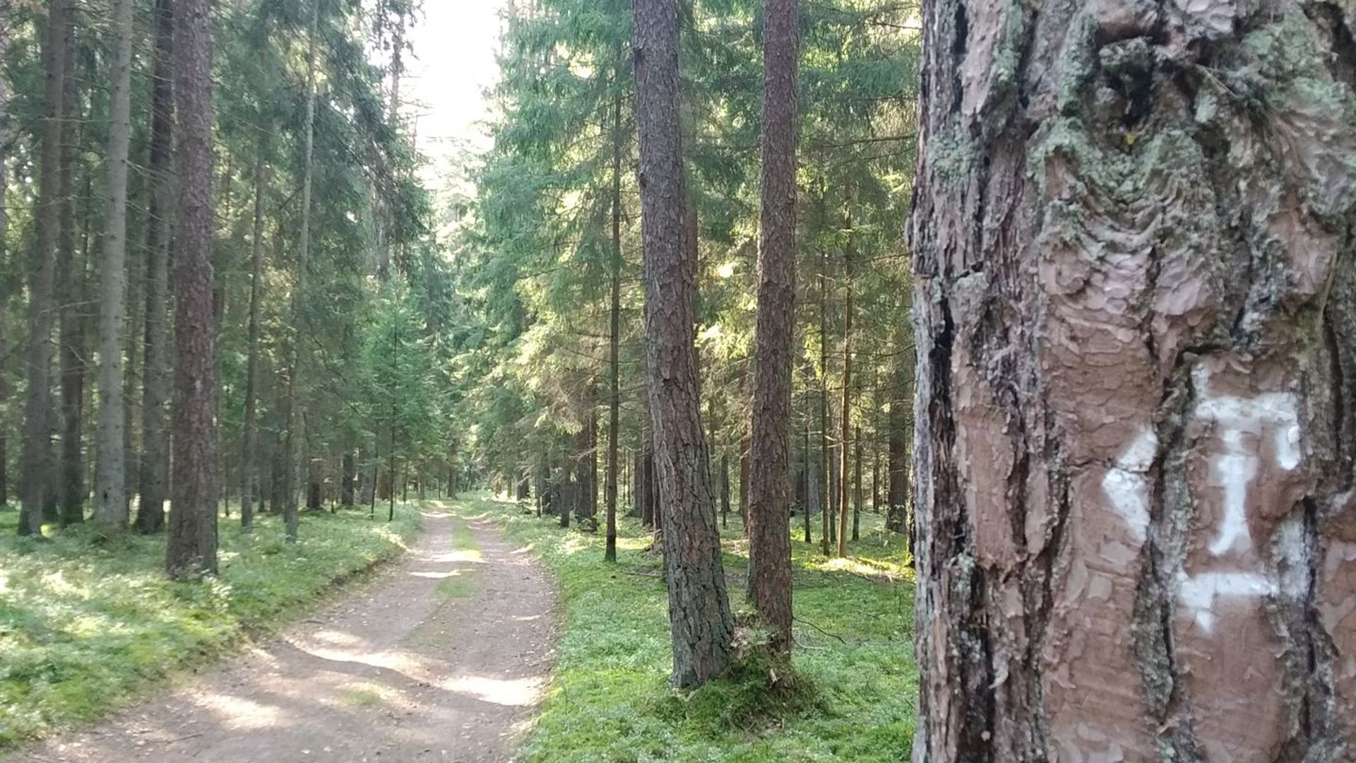 Lekėčiai Cognitive Trail