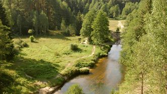 Mančiagirės skardžiai