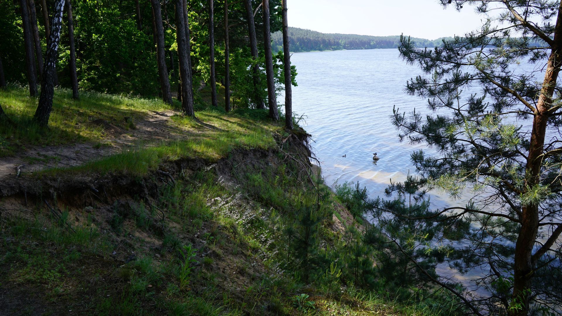 Laumėnų pažintinis takas