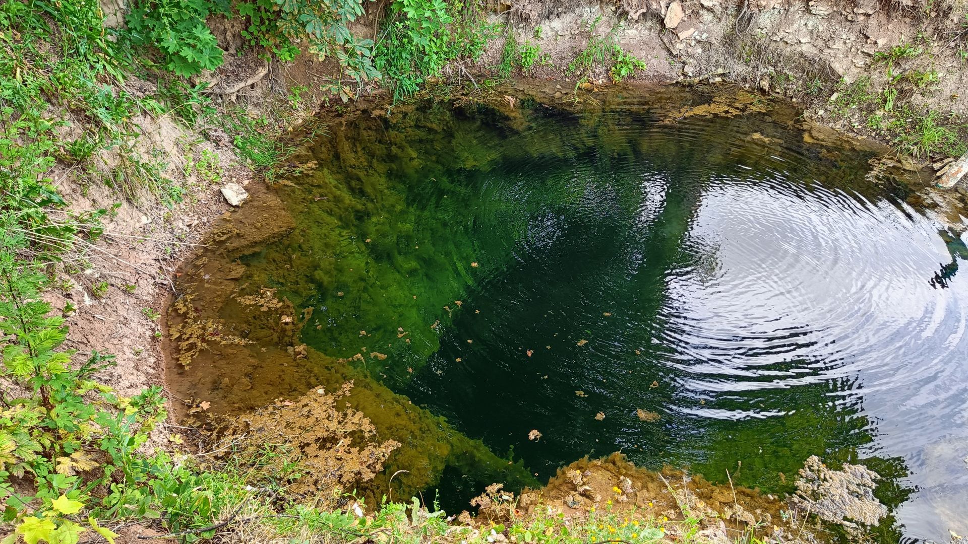 Green Spring