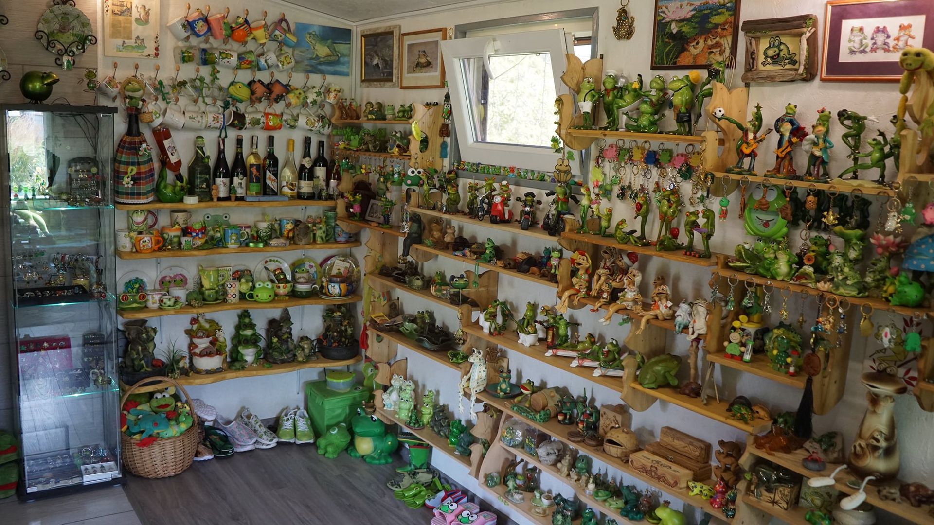 Frogs House