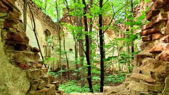 Ruins of Digriai Chapel