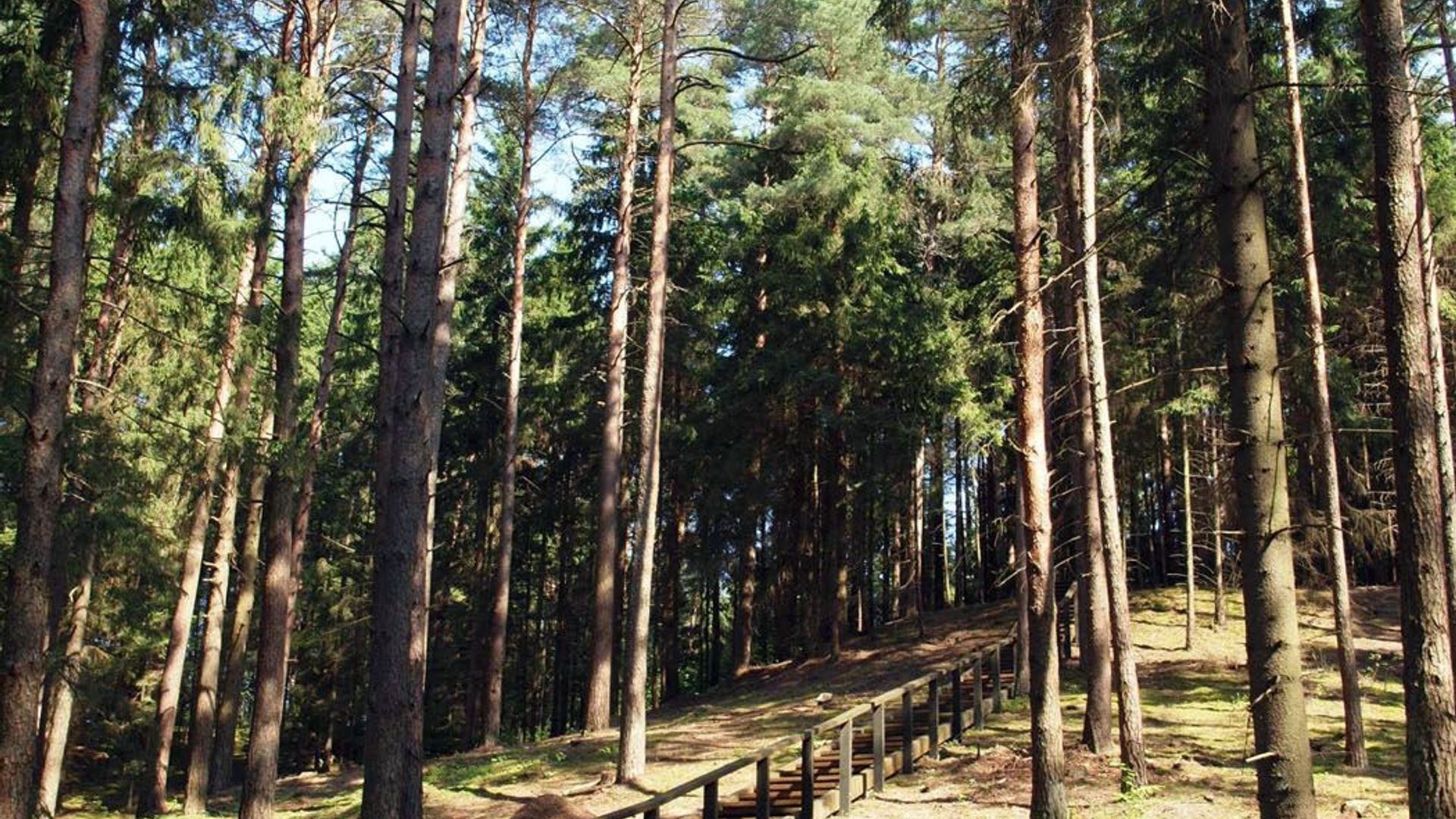 Palatavys Mound