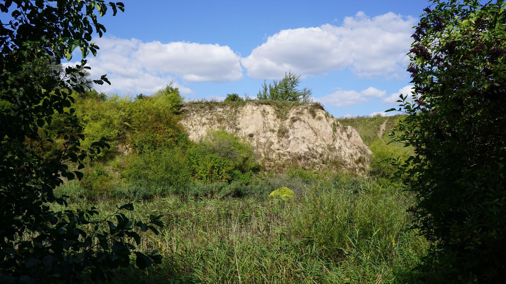 Meškučiai Mound