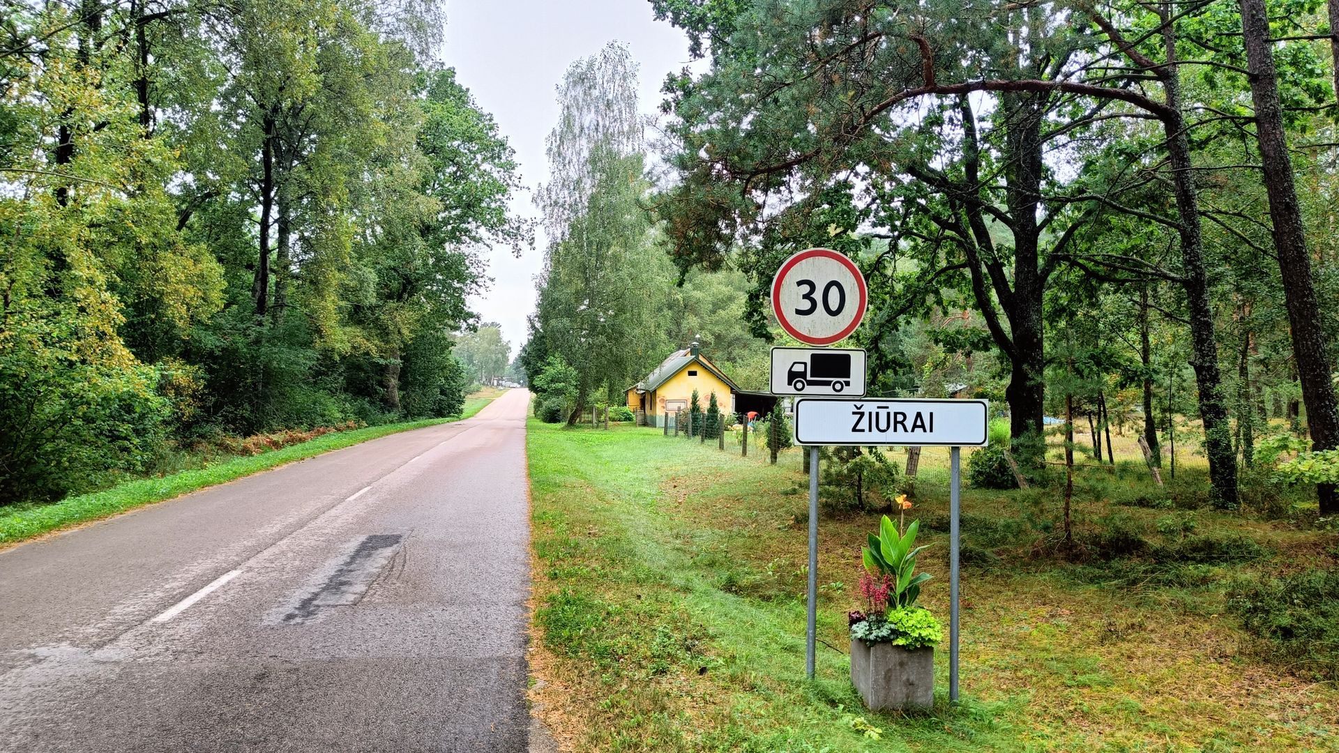 Žiūrai