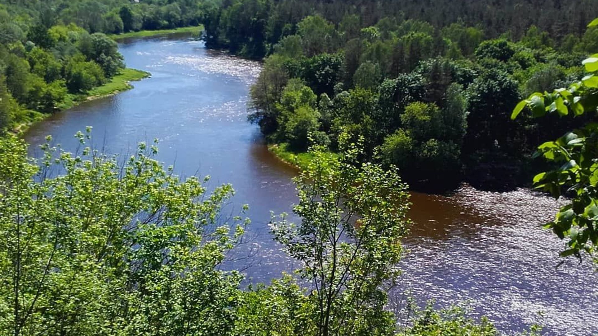 Mikališkių skardžio regykla