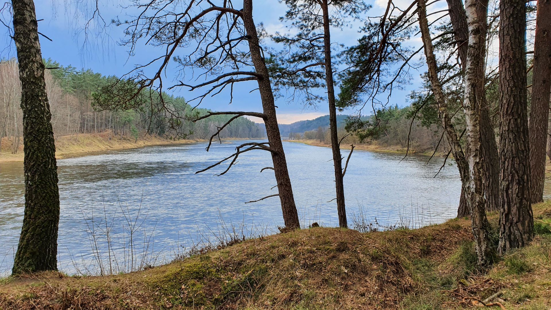 Karmazinų pažintinis takas