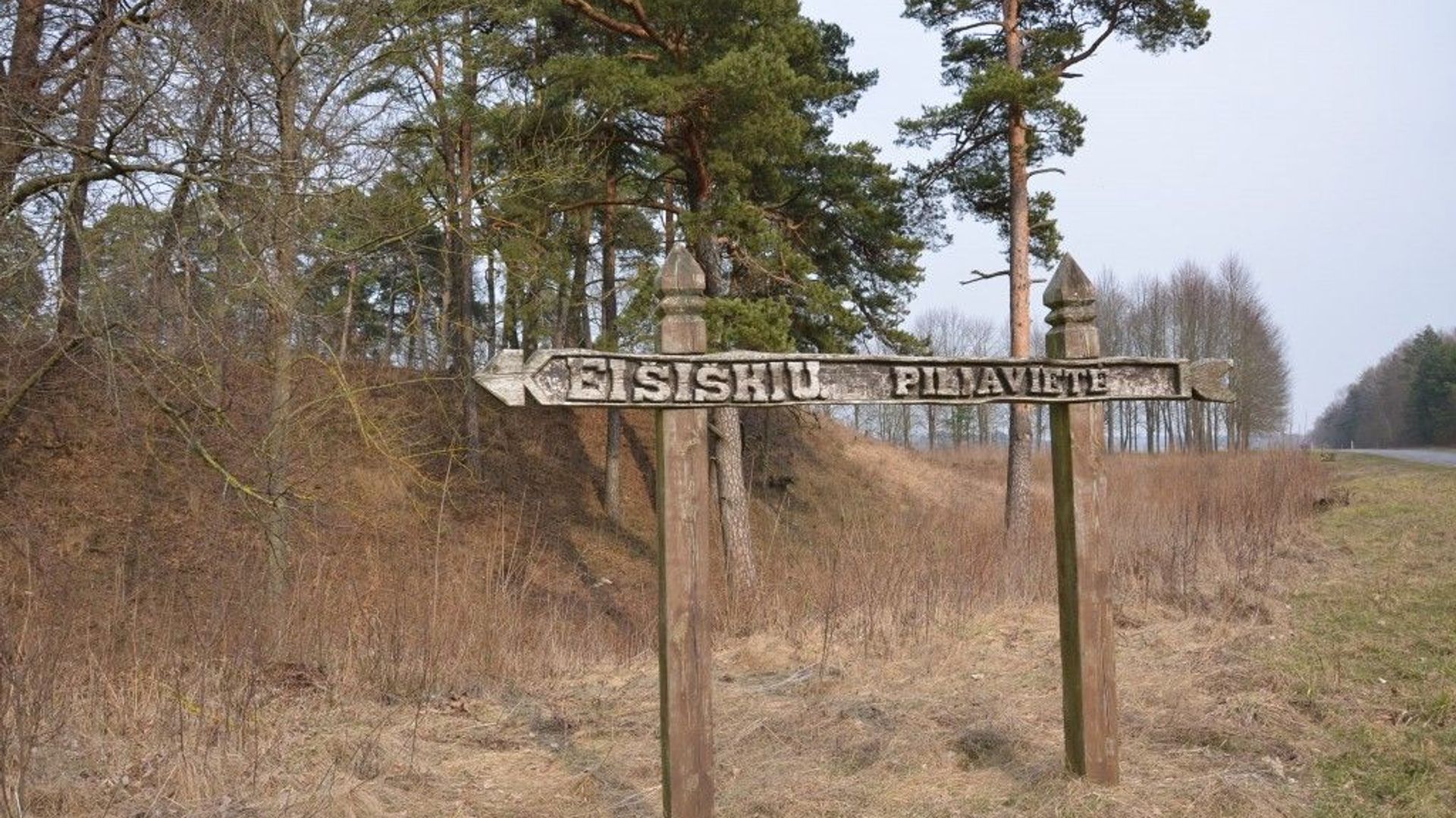 Eišiškės Castle Site