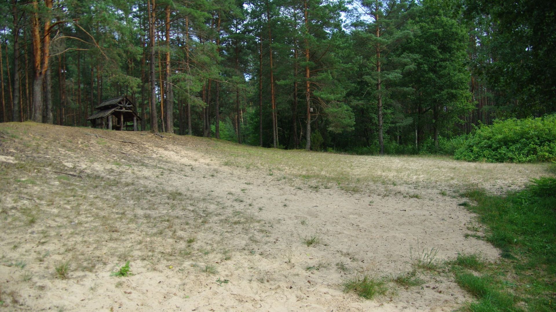 Marcinkonių tvenkinio paplūdimys