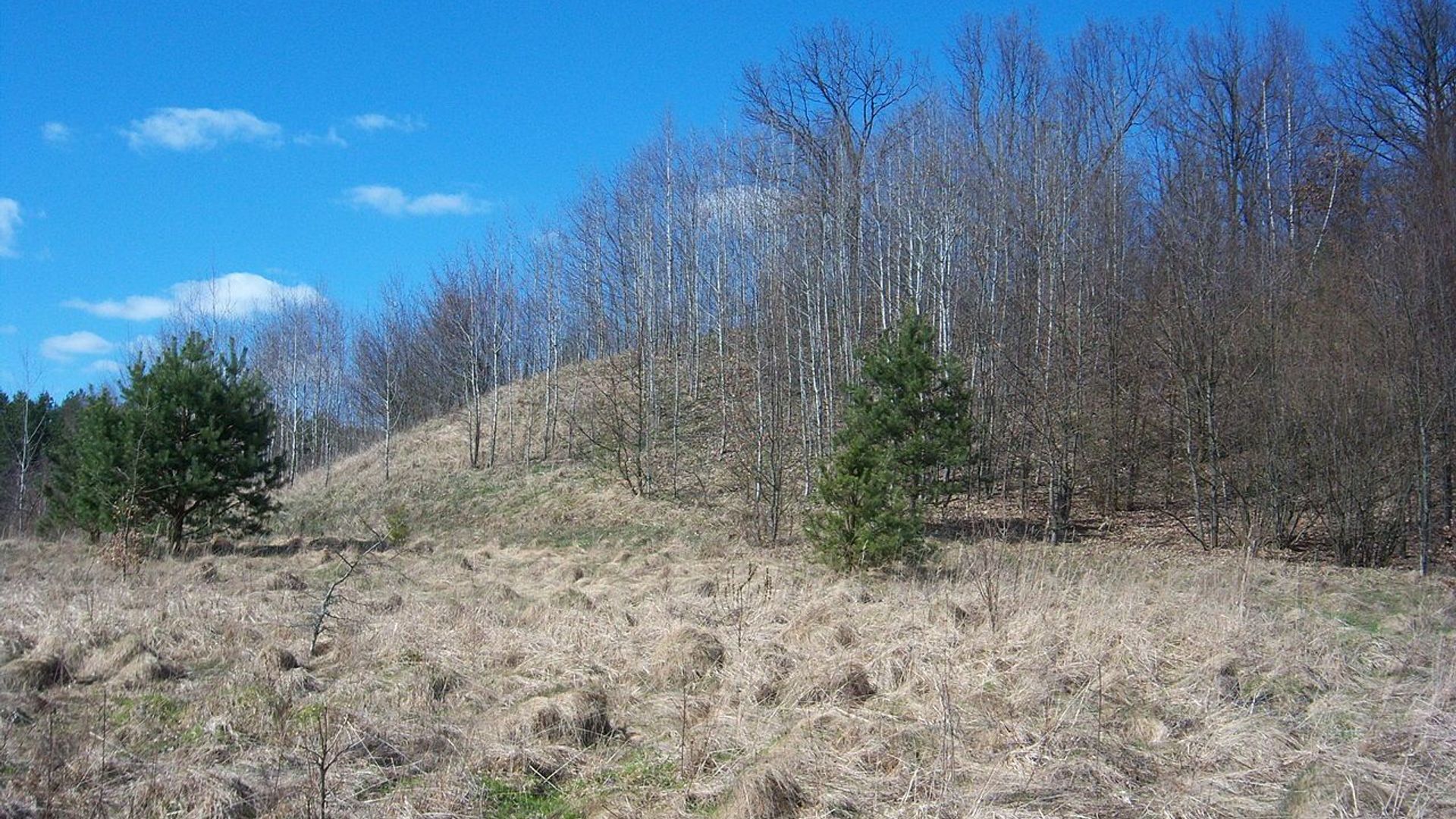 Nemajūnai Mound